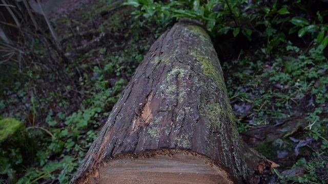 BEST Park in ENGLAND..... probably, Bold Venture Park - Darwen смотреть онлайн