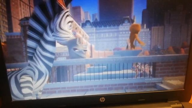Madagascar (2005) 3/21 Marty La Zebra incontra i Pinguini смотреть онлайн