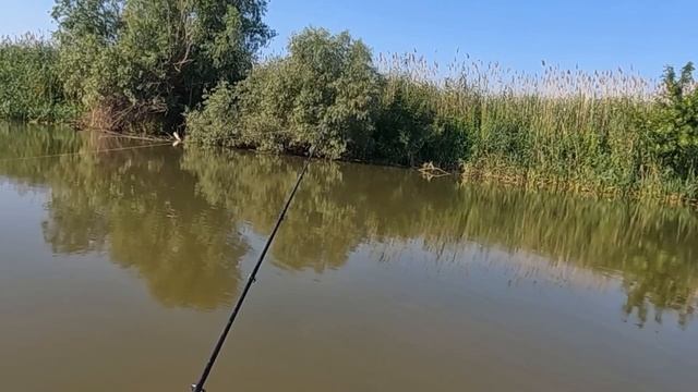 Астрахань 3