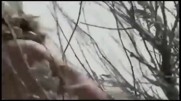 Filme Alfa completo dublado.