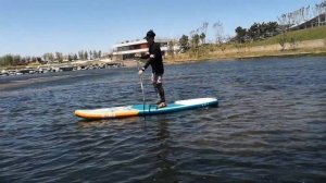 sup board life-DAMA sup