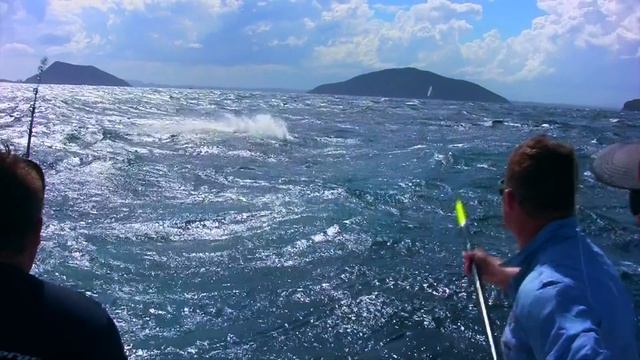 Marlin Fishing Port Stephens on "The Omen" David's Last Marlin of the Shootout смотреть онлайн