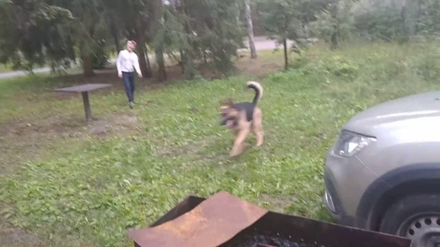 Беги Рег беги смотреть онлайн