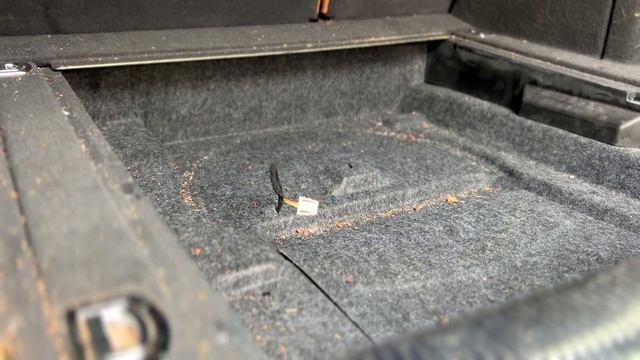 Hard to remove jeans stains on leather seat of this Audi Q5 смотреть онлайн