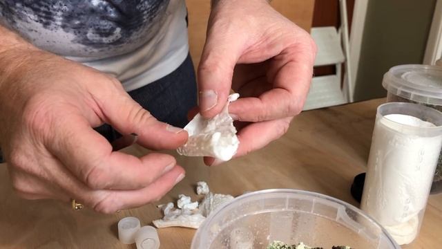 WOW - Brazilian Jewels - Typhochlaena Seladonia смотреть онлайн