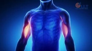 Специалисты в области медицины, о Трансфер Факторе: выбор профессионалов.