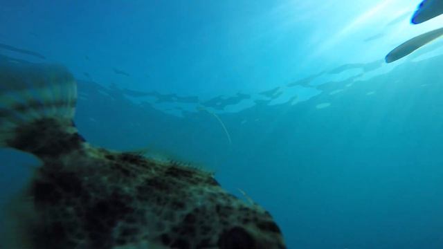 Турция Кемер 2019 (gopro) смотреть онлайн