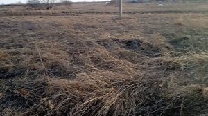 Цены нет. Копаем металл в копилку.