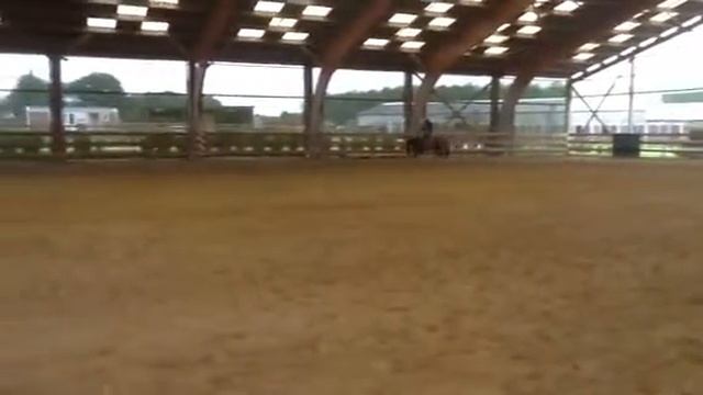 Smart Serenade#4. 2yold filly x Smart Like Juice смотреть онлайн