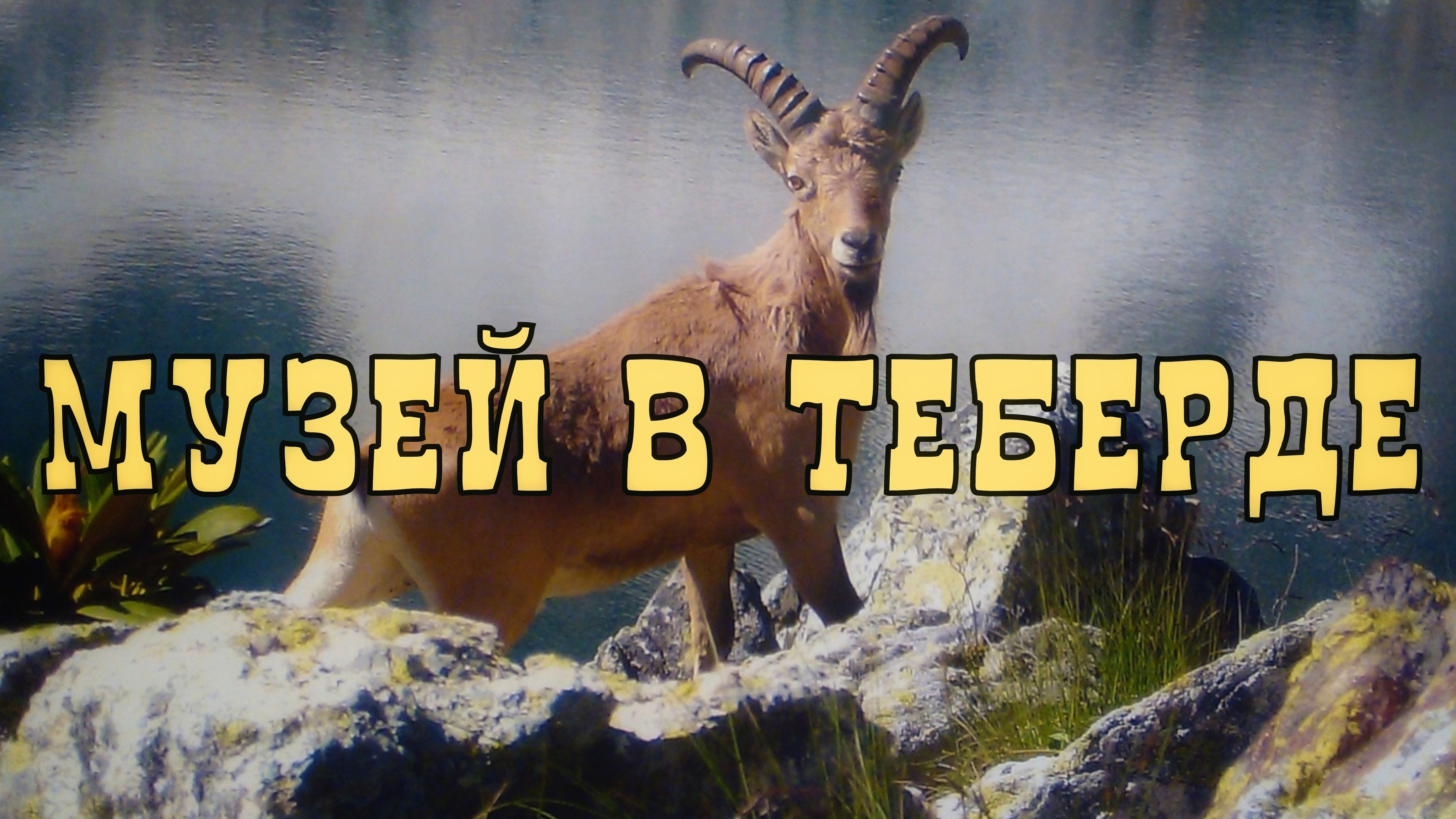 Музей в Теберде | Музей чучел | Тебердинский заповедник