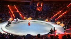 Шоу '' ЭпиЦентр мира '' .  Выступление на лошадях