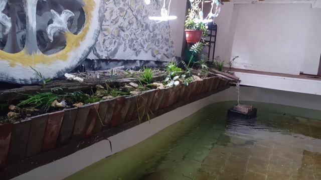 Подогрев воды для рыбок на крыше