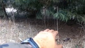 Новое направление в металлокопе!!!