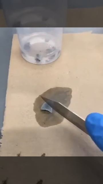 Alkali metals (Highly reactive metal ) lithium,sodium and potassium смотреть онлайн