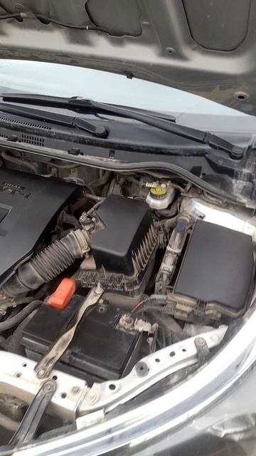 Двигатель тойота королла,работа на холостых смотреть онлайн