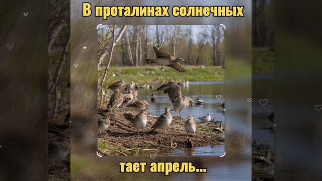 В проталинах солнечных тает апрель...