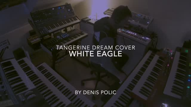 White Eagle.........a Tangerine Dream Cover..... смотреть онлайн