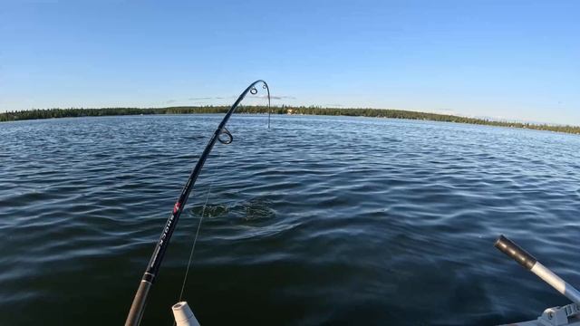 Calm Summer Night Jigging for Walleye - Emma Lake Mashup смотреть онлайн