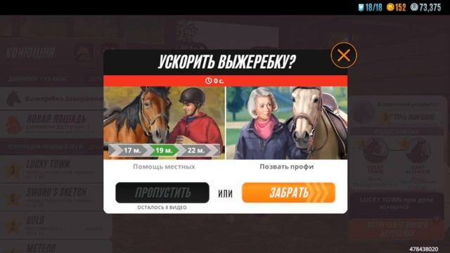 Новые арабы в конюшне, разведение высококлассных лошадей 🌺 Rival Stars Horse Racing смотреть онлайн