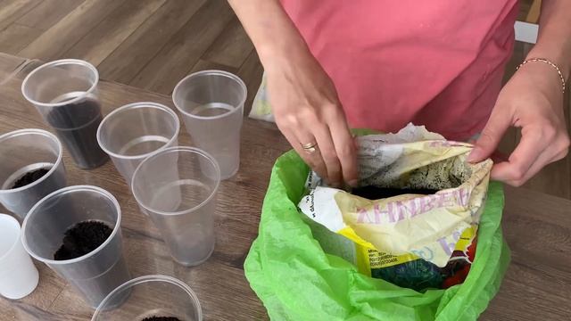 СЕЮ ОГУРЦЫ// ХОДИЛИ В ПОЛИКЛИННИКУ// ВРЕДНЫЕ ПОКУПКИ// ОЧЕНЬ ВКУСНАЯ МОЙВА смотреть онлайн