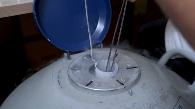 Лаборатория «Ин-Лаб» выступит партнером XII Национальной премии «Золотой медвежонок» смотреть онлайн