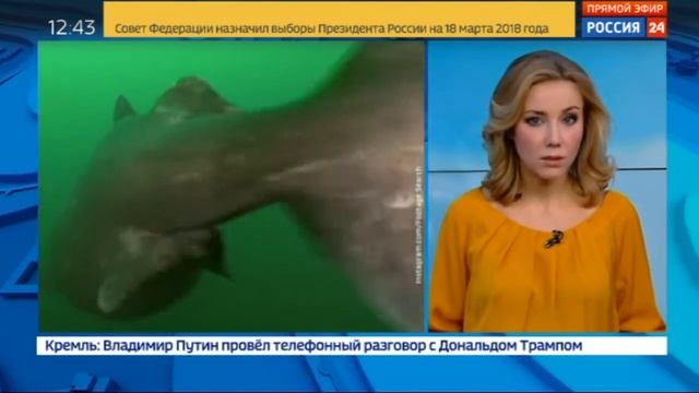 Екатерина Григорова 40 смотреть онлайн