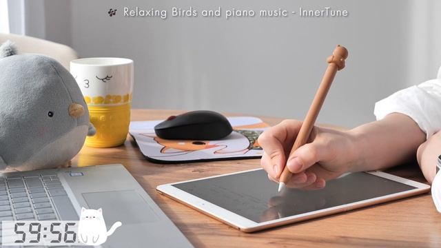 Study Music For Concentration | STUDY WITH ME | 2 Hours With No Break With Relax Playlist