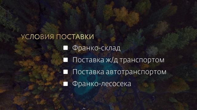 Итоги работы биржевого рынка леса и стройматериалов за 2024 год смотреть онлайн