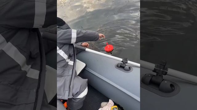 Поймали щуку на кружки смотреть онлайн