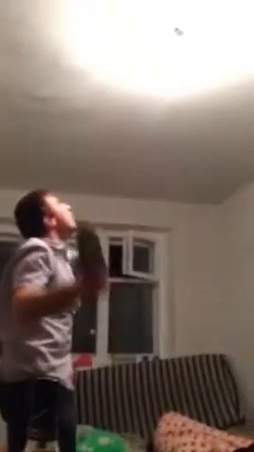 Муха достала...