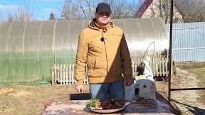 шашлык в томатном соке, в тандыре.