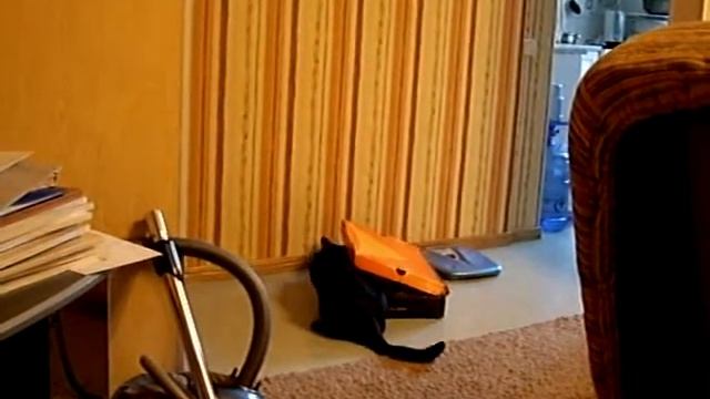 IMGP1870 смотреть онлайн