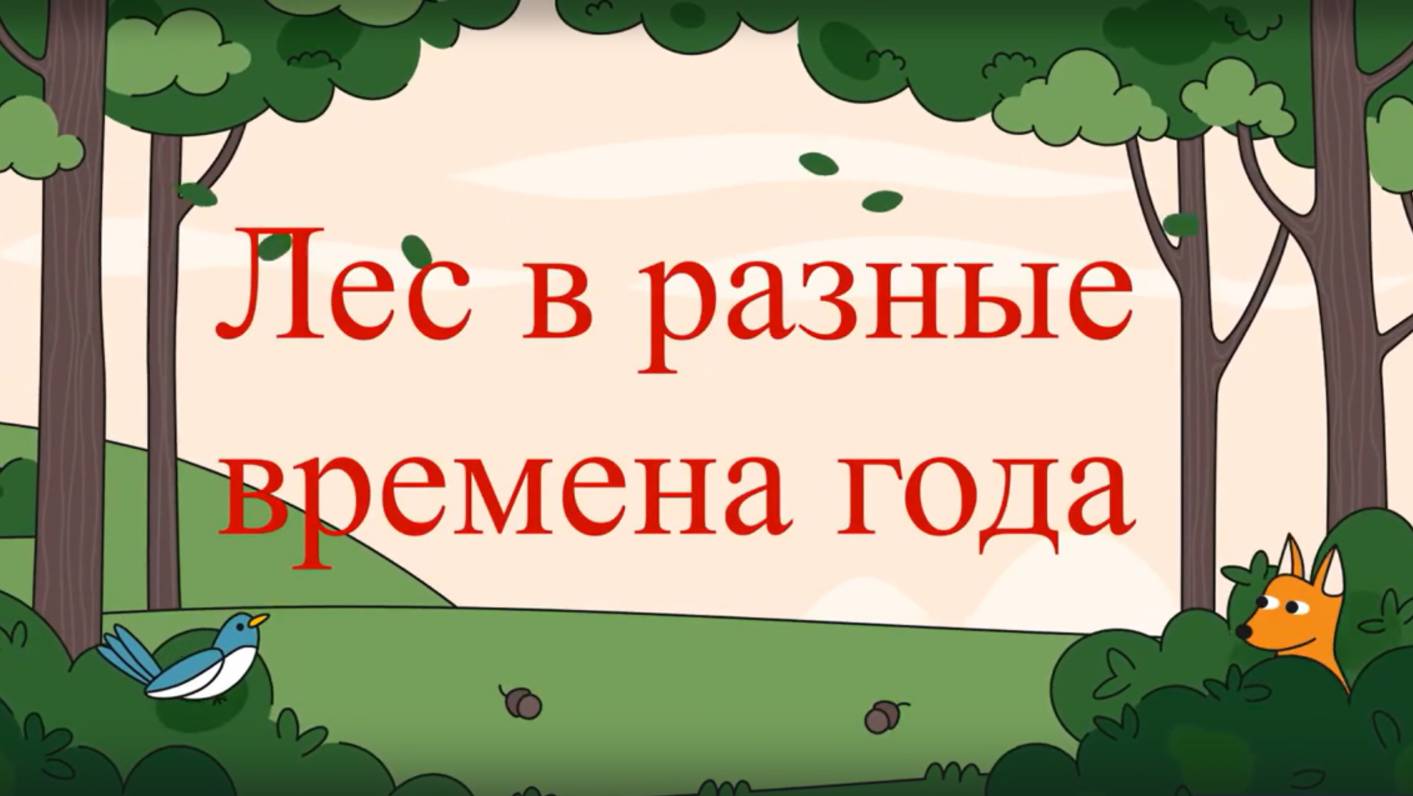 Лес в разные времена года