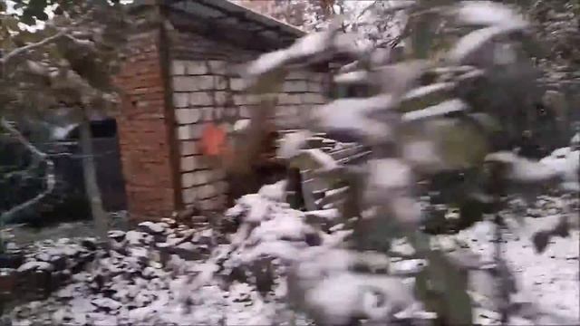ДЫХАНИЕ ЗИМЫ и БУДНИ БАРСИКА смотреть онлайн