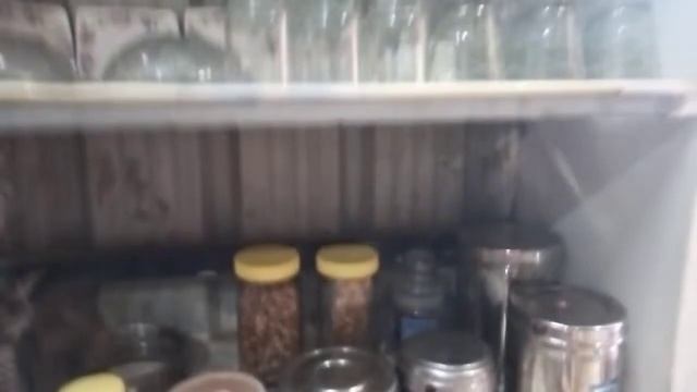How to Organise Gloss Bottles In Kitchen: смотреть онлайн