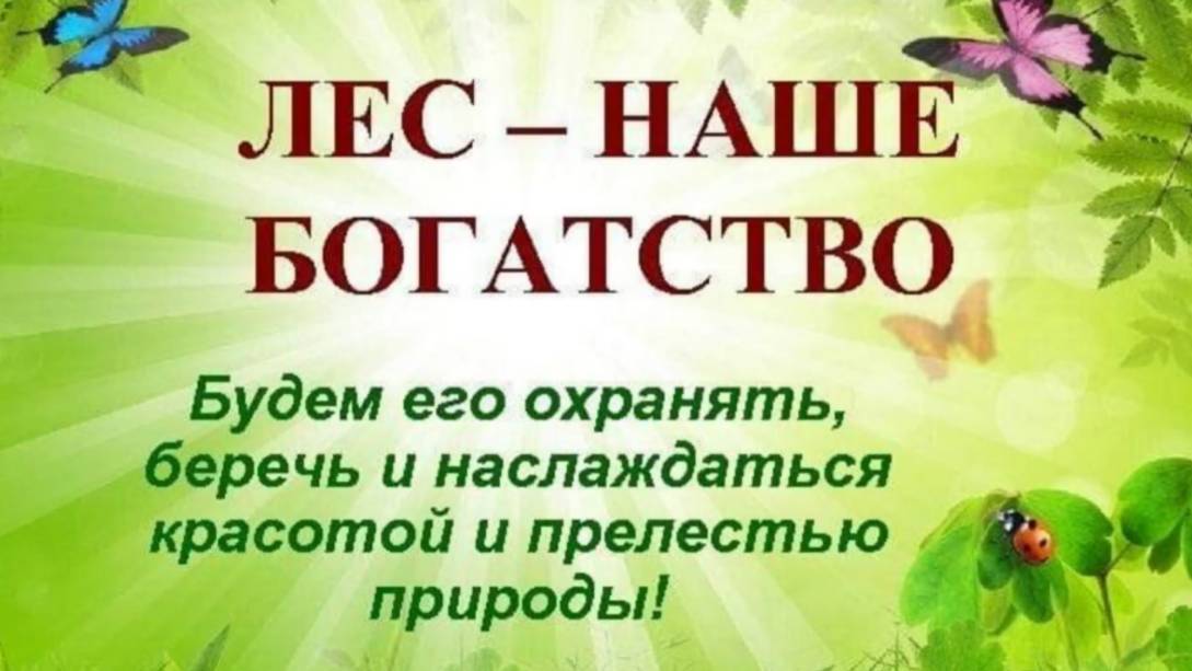 Зеленый день