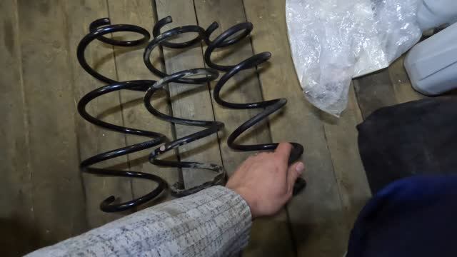 Болезнь передних пружин  Рено Клио 4 что выбрать когда ничего и нет