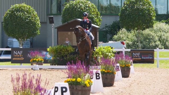 Fiona Bigwood and Daytona Platinum win CDI 3 Star Grand Prix Special at NAF Hartpury FOD 2024 смотреть онлайн