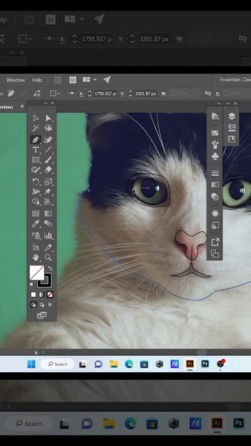 cat logo in adobe illustrator cc / image to logo смотреть онлайн