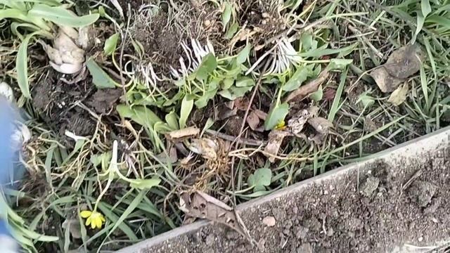 Осталась одна/Новый проект смотреть онлайн