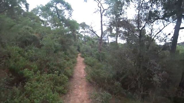 Стамбул. Осень. Часть 8. Бююкада. В поисках вина. смотреть онлайн