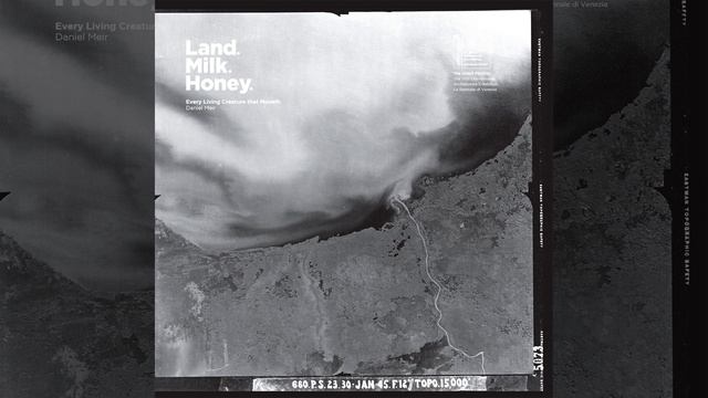 Greater Mouse Tailed Bat (feat. HALAS) смотреть онлайн