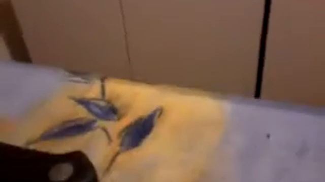 Кухонный кот / Kitchen cat смотреть онлайн