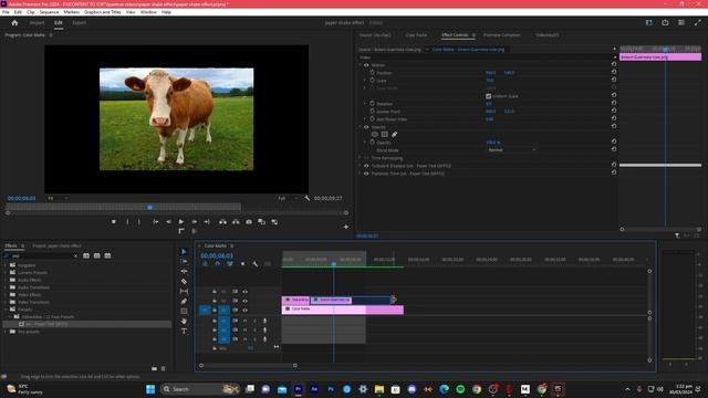 the ultimate paper shake effect ~(premiere pro preset)~ смотреть онлайн