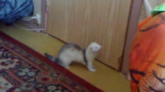 Ластик-1.mp4 смотреть онлайн