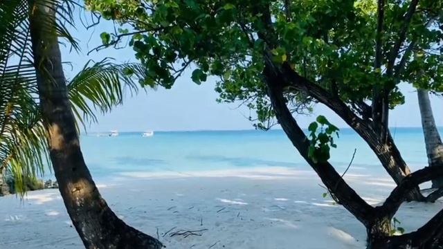 Diamonds Athuruga beach glimpse - beach bungalow, between room 15-18 смотреть онлайн