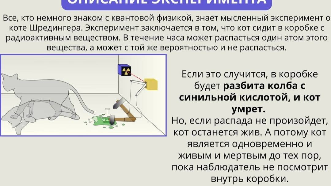 Кот Шредингера смотреть онлайн