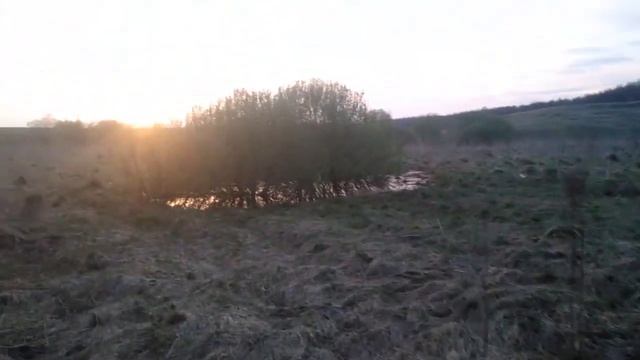 Там где рождается здоровье смотреть онлайн