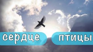 Как сердце птицы