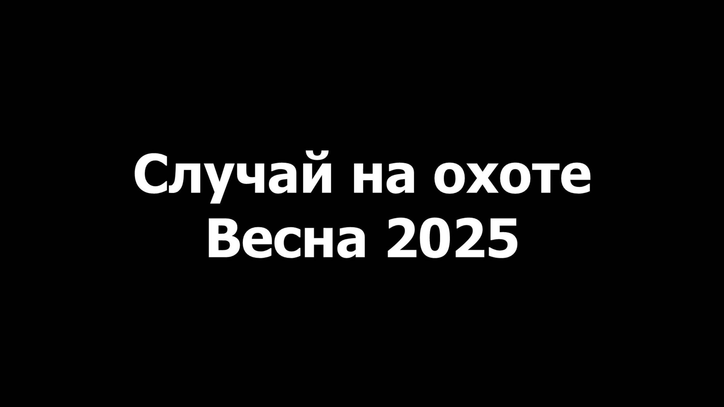 Случай на охоте - Весна 2025 смотреть онлайн